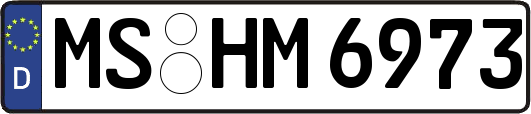 MS-HM6973