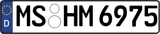 MS-HM6975