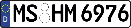 MS-HM6976