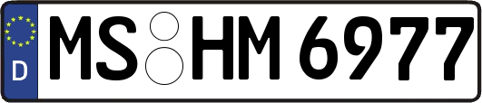 MS-HM6977