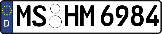 MS-HM6984
