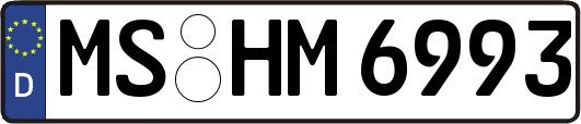 MS-HM6993