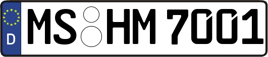 MS-HM7001