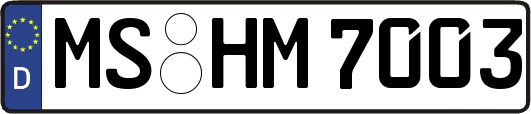 MS-HM7003