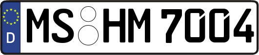 MS-HM7004