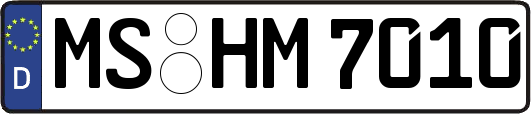 MS-HM7010