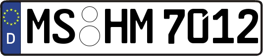 MS-HM7012