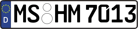 MS-HM7013