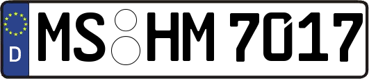 MS-HM7017