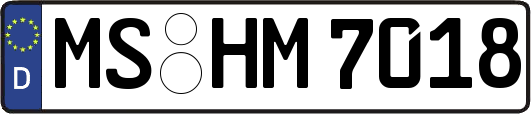 MS-HM7018