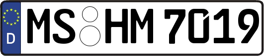 MS-HM7019