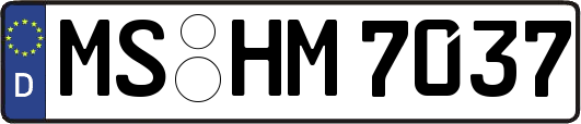 MS-HM7037