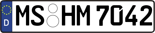 MS-HM7042