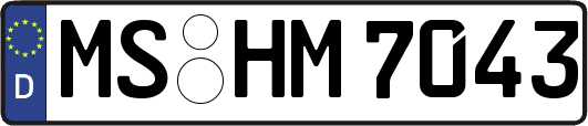 MS-HM7043