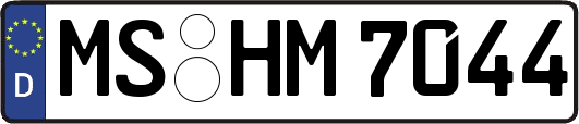 MS-HM7044