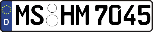 MS-HM7045