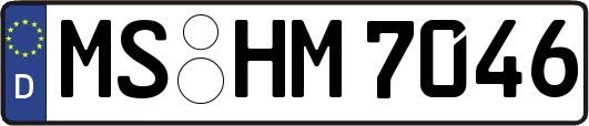 MS-HM7046
