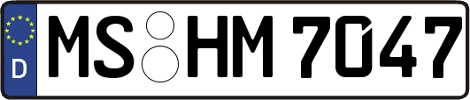 MS-HM7047