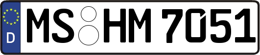 MS-HM7051