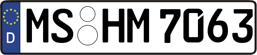 MS-HM7063