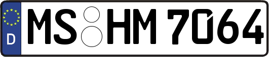 MS-HM7064
