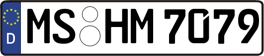 MS-HM7079
