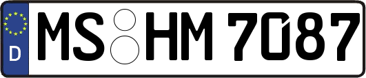 MS-HM7087