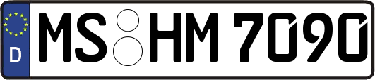 MS-HM7090