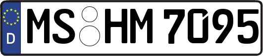 MS-HM7095