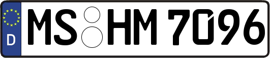 MS-HM7096