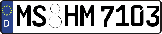 MS-HM7103