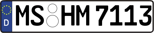 MS-HM7113