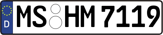 MS-HM7119