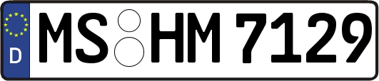 MS-HM7129