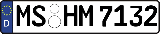 MS-HM7132