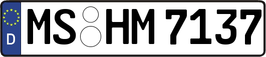 MS-HM7137