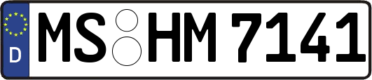 MS-HM7141