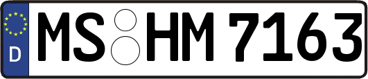 MS-HM7163