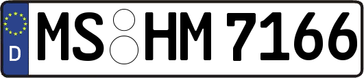 MS-HM7166
