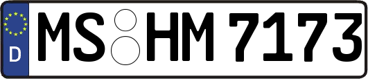 MS-HM7173