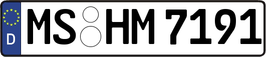 MS-HM7191