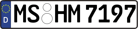 MS-HM7197