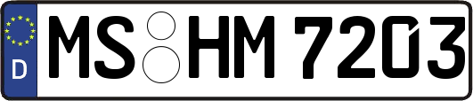 MS-HM7203