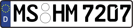 MS-HM7207