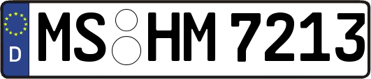 MS-HM7213