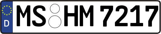 MS-HM7217