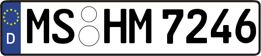 MS-HM7246