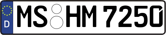 MS-HM7250