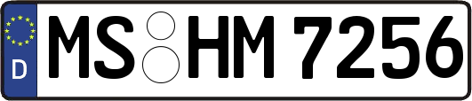 MS-HM7256
