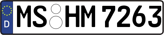 MS-HM7263